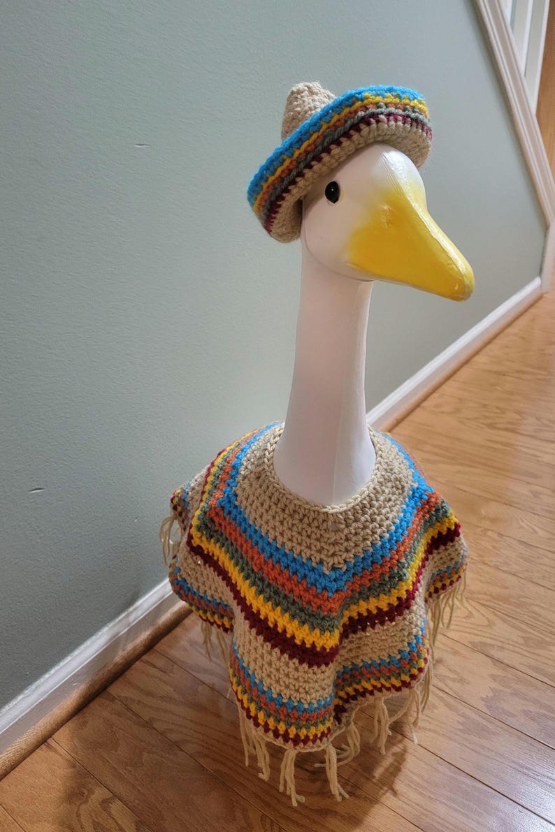 May include: A decorative goose head wearing a crocheted sombrero and poncho. The hat has a blue, yellow, and red striped brim. The poncho is beige with colorful stripes and fringe.