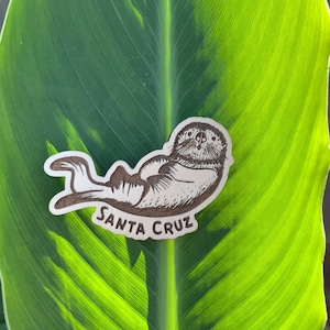 Solid Wood Beach and Ocean Magnets l Sea Otter | Coastal Magnets l Refrigerator Magnets l Sea Life Magnets | Beach Magnets |
