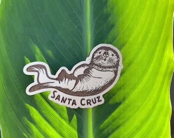 Imanes de playa y océano de madera maciza l Nutria marina / Imanes costeros l Imanes de refrigerador l Imanes de vida marina / Imanes de playa /
