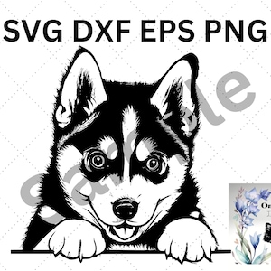 Siberian Husky Puppy Peeking Paws SVG DXF EPS png Cute Dog Breed  Pet Puppy Canine Pedigree Huskie Logo Clipart Vector Cricut Cut Cutting