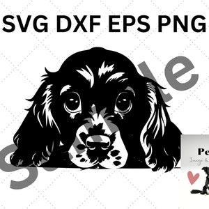 Peut inclure: Une illustration graphique numérique en noir et blanc représentant une tête de chiot avec de grands yeux et des oreilles tombantes. Le texte SVG DXF EPS PNG figure en haut. Un encart en bas à droite montre un chien avec un cœur rose et le texte Pet Image & Designs.