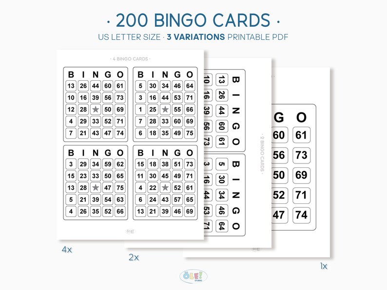 200 Bingo Cards Digital Download Printable PDF Fun Party Bingo Game US