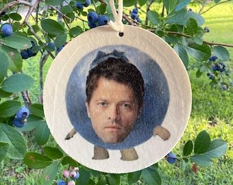 Blueberry Cas car freshener