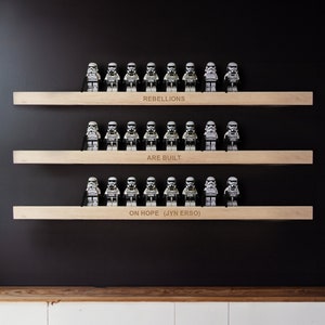 Minifigure display wall, Minifigure shelf, Minifigure holder for wall, Minifig shelf, Minifig display case, Personalized display shelf