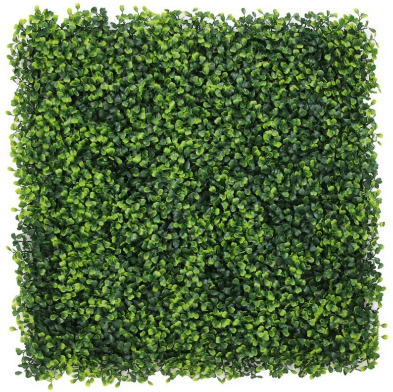 Boxwood Wall Backdrop Grass Wall Panels Outdoor Grass Wall Etsy