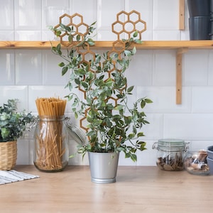 Könnte beinhalten: Ein dekoratives Holzgitter in Wabenform trägt eine Topfpflanze mit grünen Blättern. Der silberne Topf steht auf einer Holzoberfläche. Die Küchenszene umfasst Gläser, Nudeln und ein Holzregal.