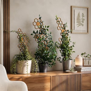 Puede incluir: Tres enrejados de madera para plantas con un patrón geométrico de panal, cada uno sosteniendo una planta de interior verde diferente en una maceta. Los enrejados están dispuestos en fila, con plantas que muestran diversas formas de hojas.