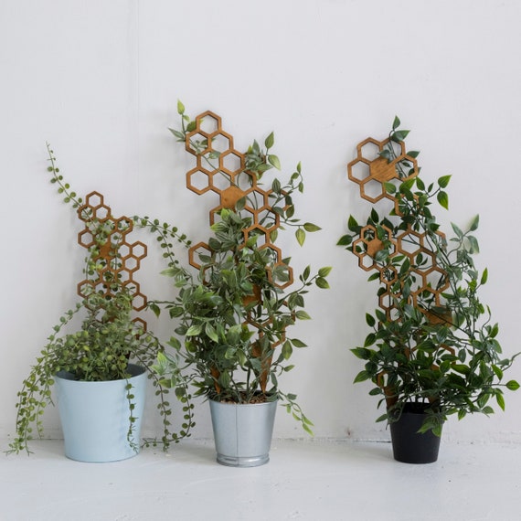 Honeycomb Plant Trellis, Wooden Trellis Planter, Plant Trellis for Indoor  Plant, Honey Comb Display, Boho Plant Trellis, Garden Trellis - Etsy