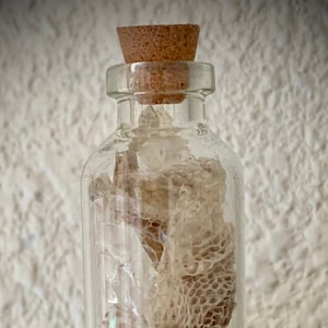 May include: A glass bottle with a cork stopper filled with a dried snake skin. The skin is a light brown color and has a textured pattern.