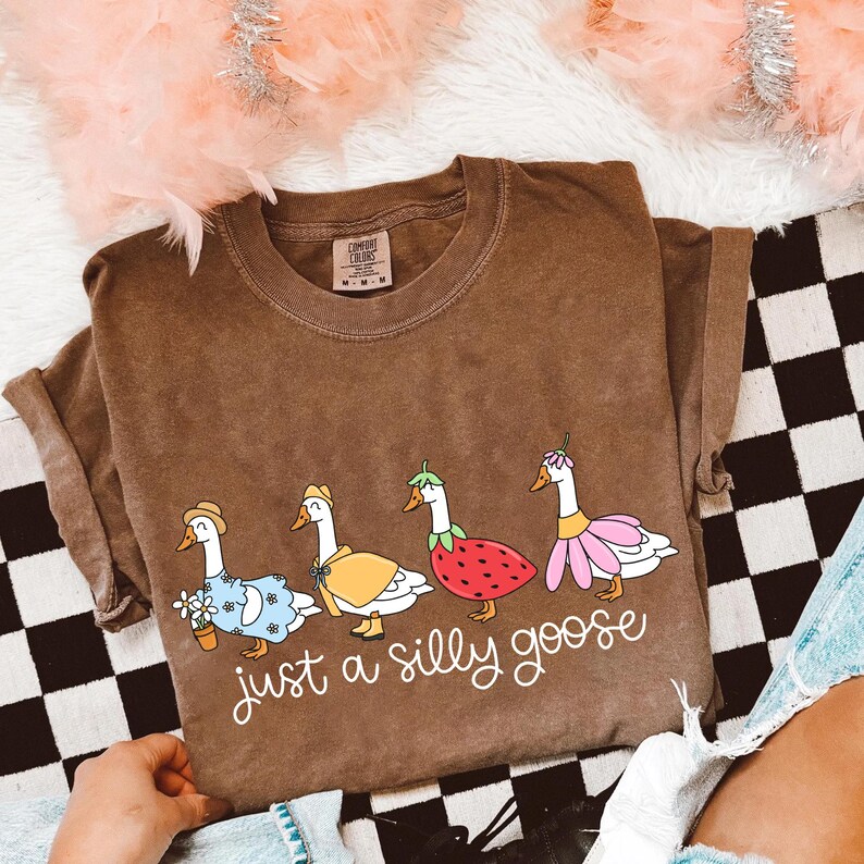May include: Brown Comfort Colors t-shirt with a whimsical design of four geese dressed in various outfits, including a straw hat, a yellow cape, a strawberry costume, and a pink flower dress. The text "just a silly goose" is written in cursive below the geese.