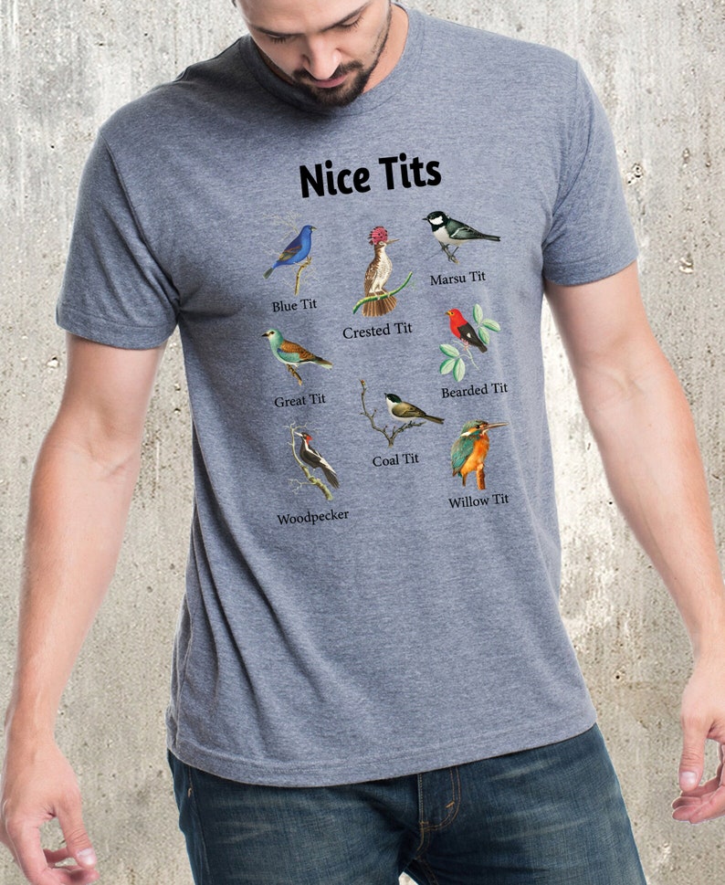 May include: A heather gray t-shirt with a humorous design featuring the text "Nice Tits" and illustrations of different types of birds, each labeled with their common name, such as "Blue Tit", "Crested Tit", and "Willow Tit".