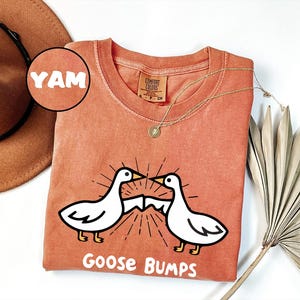 May include: A burnt orange t-shirt with a white graphic of two geese facing each other with the text "Goose Bumps" below. The shirt has a tag that says "Comfort Colors" and the word "YAM" is written in a circle on the top left corner of the image.