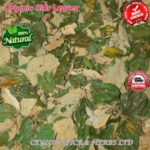 Sidr Leaves Lote Leaves ,Sidr Leaves Organic Sidr Leaves Natural Dried Sidr, Organic Jujube Leaves zdjęcie 2