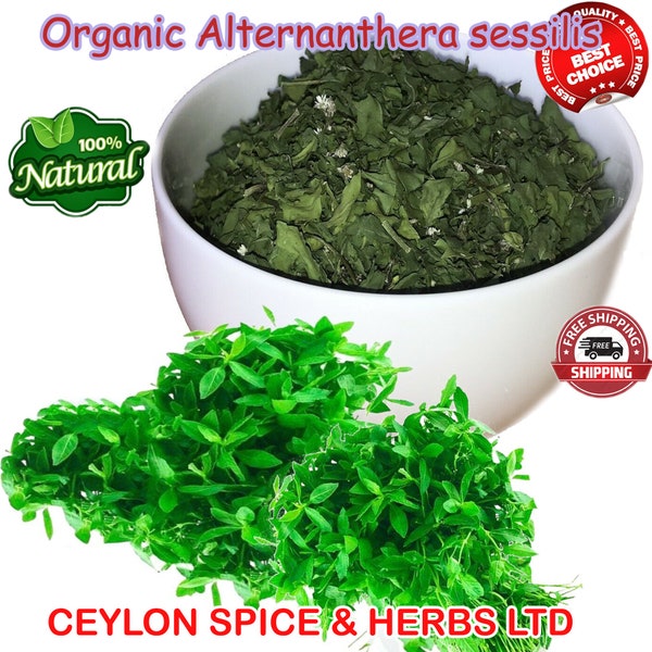 Organic Alternanthera sessilis ,Mukunuwenna ,Sessile Joyweed, Ponankani Ponnanganni ,Magical South Asian Herb , Natural Air Dehydrate