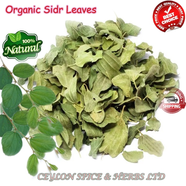 Hojas de Sidr (hojas de lote), hojas de Sidr, hojas de Sidr orgánicas, hojas de Sidr secas naturales, hojas de azufaifa orgánica