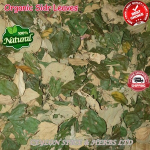 Sidr Leaves Lote Leaves ,Sidr Leaves Organic Sidr Leaves Natural Dried Sidr, Organic Jujube Leaves zdjęcie 3