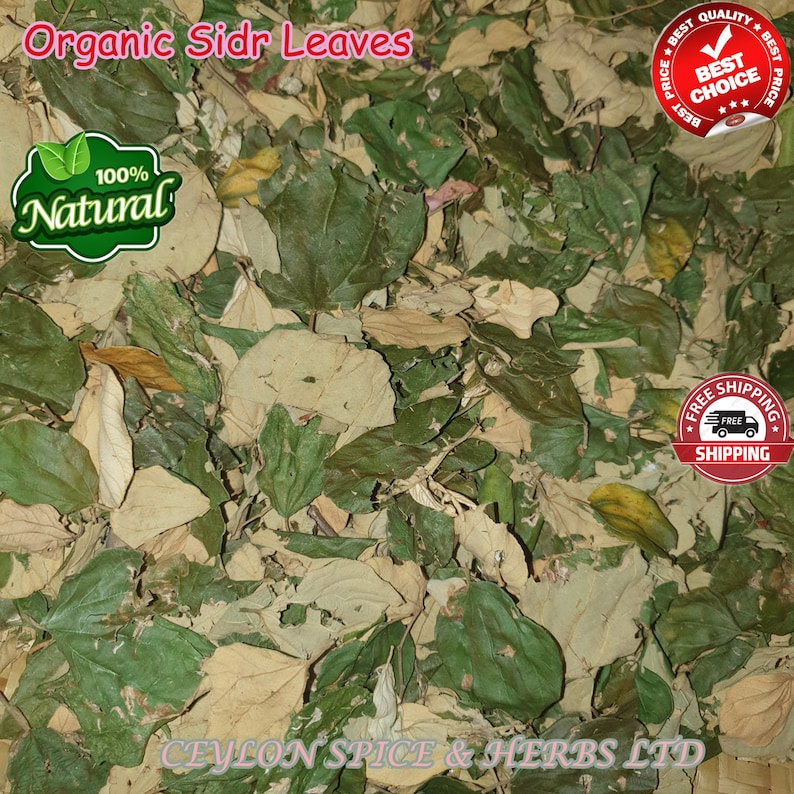 Sidr Leaves Lote Leaves ,Sidr Leaves Organic Sidr Leaves Natural Dried Sidr, Organic Jujube Leaves zdjęcie 3