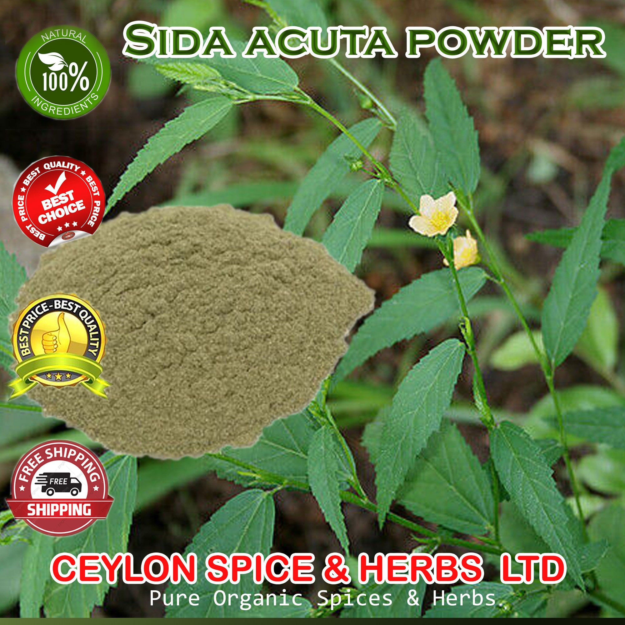 Organic Sida Acuta Root Good Quality Wild Stubborn Grass From 