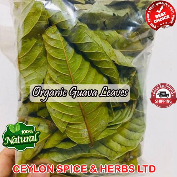 Bio-Guavenblätter, natürliche getrocknete Guavenblätter, Psidium-Guajava-Blätter, frisch luftgetrocknetes natürliches grünes Guavenblatt 500G BULK