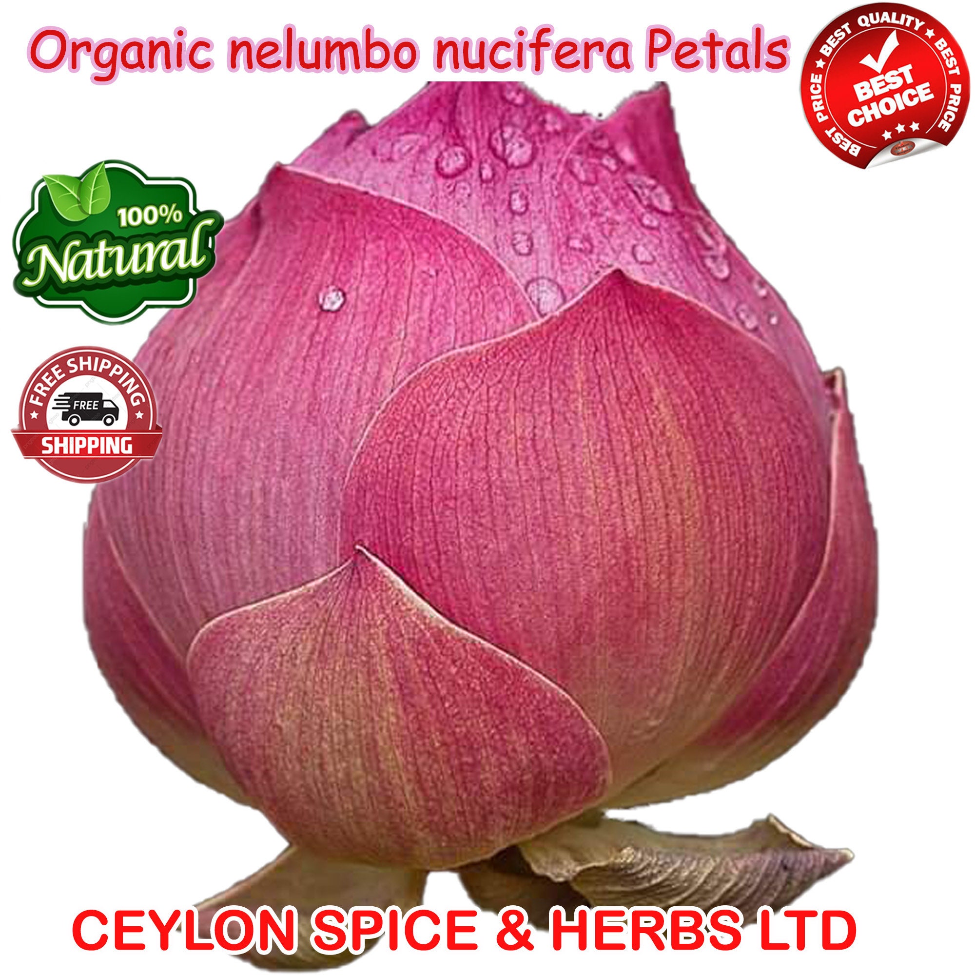 Natural Organic Pink Lotus Dried Flower Petals Sacred Lotus for beauty skin  🌸🌸
