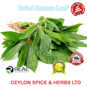 Cassava Leaves, Natural Air Dried ,Manihot esculenta, Aurveda Magical Leaves, Organic Cassava Leaf Freshly Made