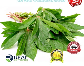 Cassava Leaves, Natural Air Dried ,Manihot esculenta, Aurveda Magical Leaves, Organic Cassava Leaf Freshly Made