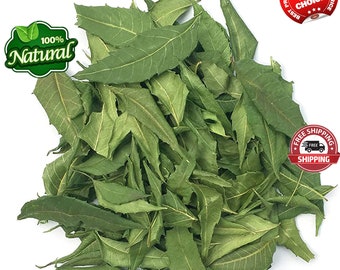 Hojas de neem orgánicas, 10 KG A GRANEL, hoja de Azadirachta Indica natural, secada al aire, recolectada fresca para enviar, rico Ayurveda