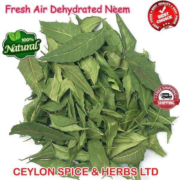 Hojas de neem orgánicas, 10 KG A GRANEL, hoja de Azadirachta Indica natural, secada al aire, recolectada fresca para enviar, rico Ayurveda