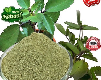 Leaf of Life Powder, Kalanchoe Pinnata powder, Miracle Leaf powder ,bryophyllum pinnatum, Organic- Wild Grown, Freshly Made To Order