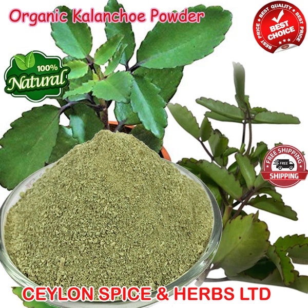 Leaf of Life Powder, Kalanchoe Pinnata powder, Miracle Leaf powder ,bryophyllum pinnatum, Organic- Wild Grown, Freshly Made To Order