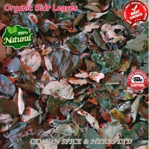Sidr Leaves Lote Leaves ,Sidr Leaves Organic Sidr Leaves Natural Dried Sidr, Organic Jujube Leaves zdjęcie 4