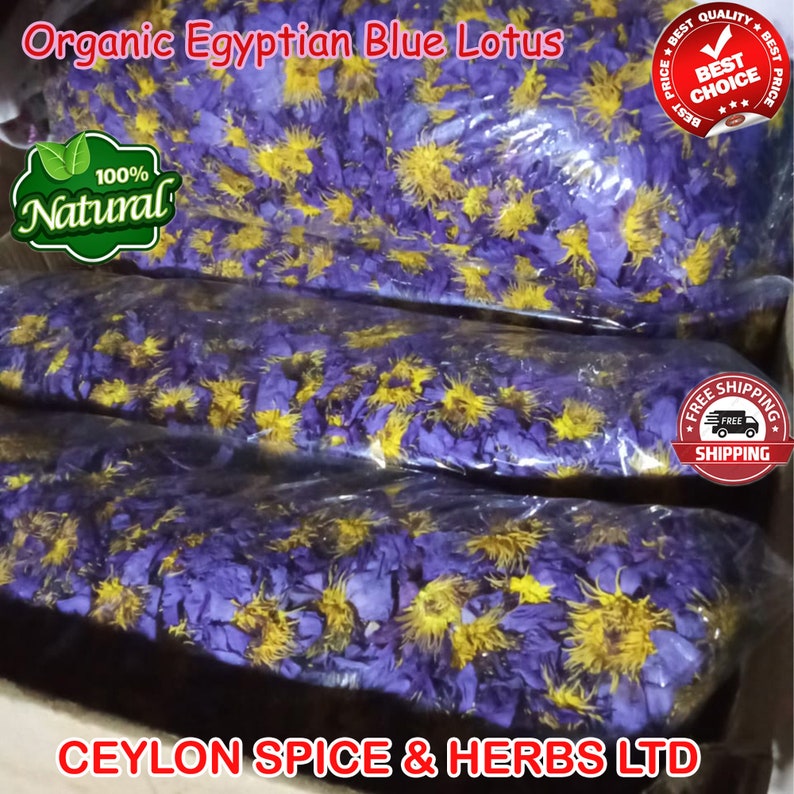 Organic Egyptian Blue Lotus, 25KG Whole Flowers, Premium Blue Lotus Flowers, Chakra Lotus, Meditation Tea, Tea for Yoga, Buddhism image 3