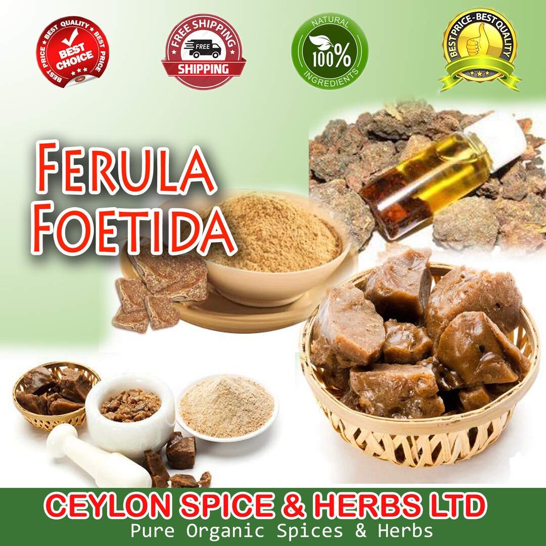 Asafoetida Whole Hing premium Quality Pure Hing Ferula Etsy