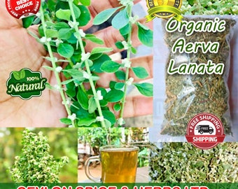 Polpala ,Aerva lanata ,2 KG BULK, Natural Herbal Tea, Aerva Lanata, Mountain Knotgrass,Magical Ayurveda Herb Freshly Made To Order