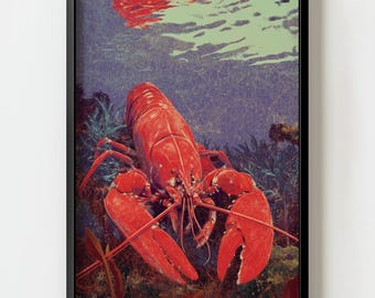 Lámina decorativa de pared con langosta de pinza abierta estilo retro costero / Ilustración marina vintage