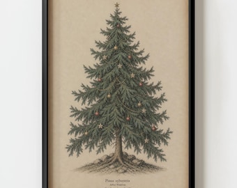 Vintage Christmas Tree Vintage Wall Art Print | Antique Holiday Botanical Decor