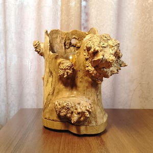 Wooden table lamp, Driftwood lamp, Art deco lamp, Night light, Cute lamp, Decorative light fixture made of maple wood, Led night lamp