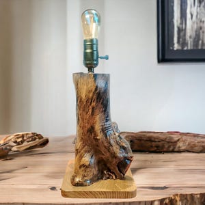 Wood lamp, Table driftwood lamp, Wood art, Unique lamp, Desk lamp, Light fixture,Rrustic lamps, Lighting from a poplar branch