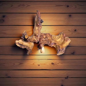 Wandlamp van drijfhout, houten wandlamp, wandlamp gemaakt van een natuurlijke worteltak van een oude esdoorn, plug-in wandkandelaar