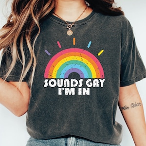 Sounds Gay im in Shirt, LGBT Shirt, Pride Shirt, Gay Pride T-shirt, Lesbian Shirt, Bisexual Shirt, LS468