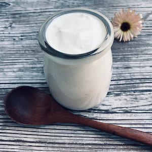 Sour Cream Starter Cultures Organic