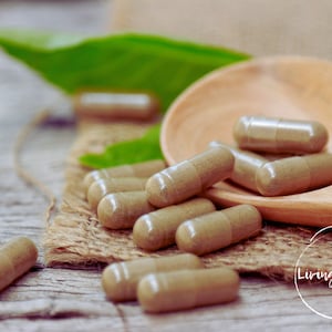 Dandelion root capsules