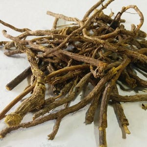 Cryptolepis Root Whole Wildcrafted