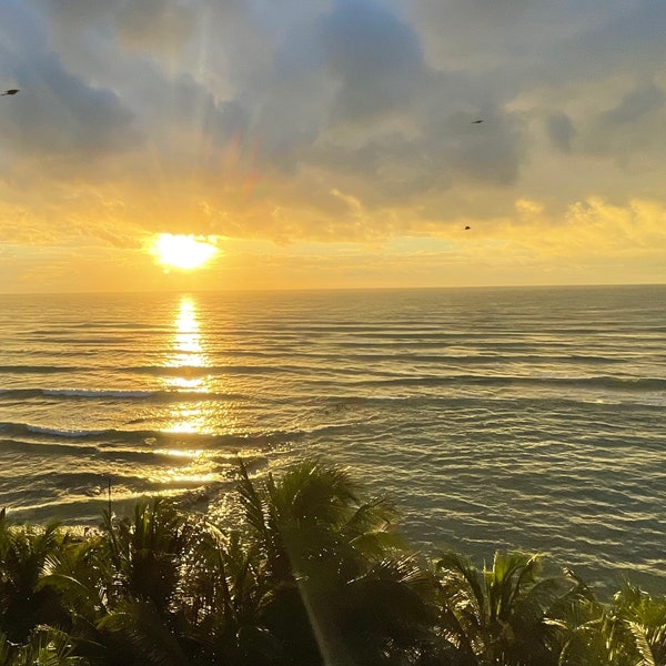 Caribbean Left Sunrise Bird In Sky Sun Reflecting On Ocean Palm Trees Beach