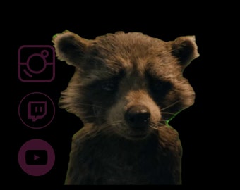 Rocket Raccoon Meme Transparenter Hintergrund Video Сreate lustige Inhalte TikTok Twitch Youtube Instagram Stream Dekoration