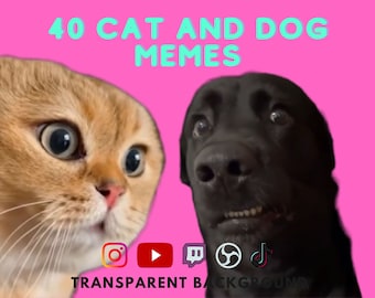 40 mèmes chats et chiens populaires Fichiers WEBM à fond transparent pour créer du contenu amusant TikTok Twitch Youtube