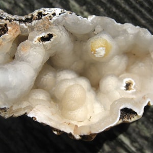 Botryoidal Chalcedony Tube Agate Geode Natural Mineral Specimen.