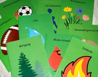 Ojibwe Anishinaabe Sprache Früh Alphabetisierung Stufe 5 Leveled Reader Bücher