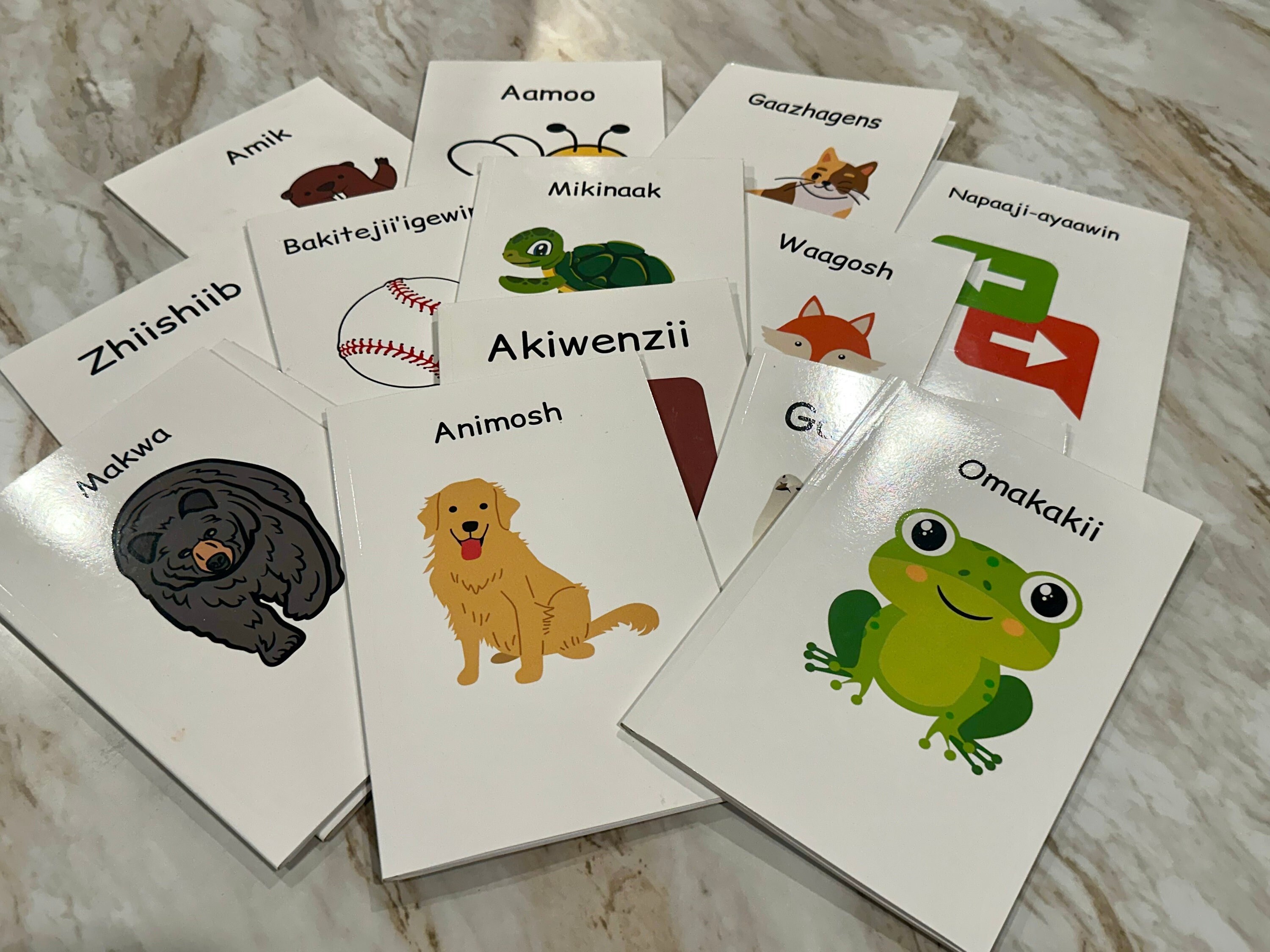 Ojibwe Anishinaabe Sprache Früh Alphabetisierung Stufe 2 Leveled Reader Bücher