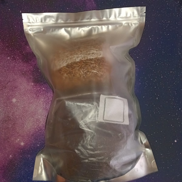 Mushroom Grow Kit - Etsy